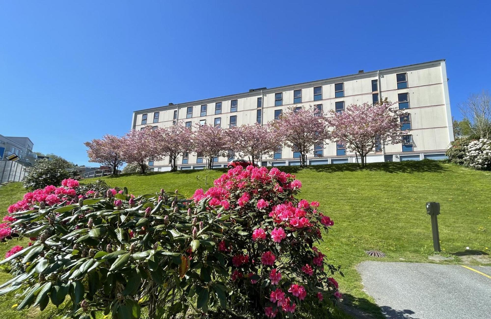 3 Sleeping For 82m2 Which Direct Traffic To Airport And Center Apartment